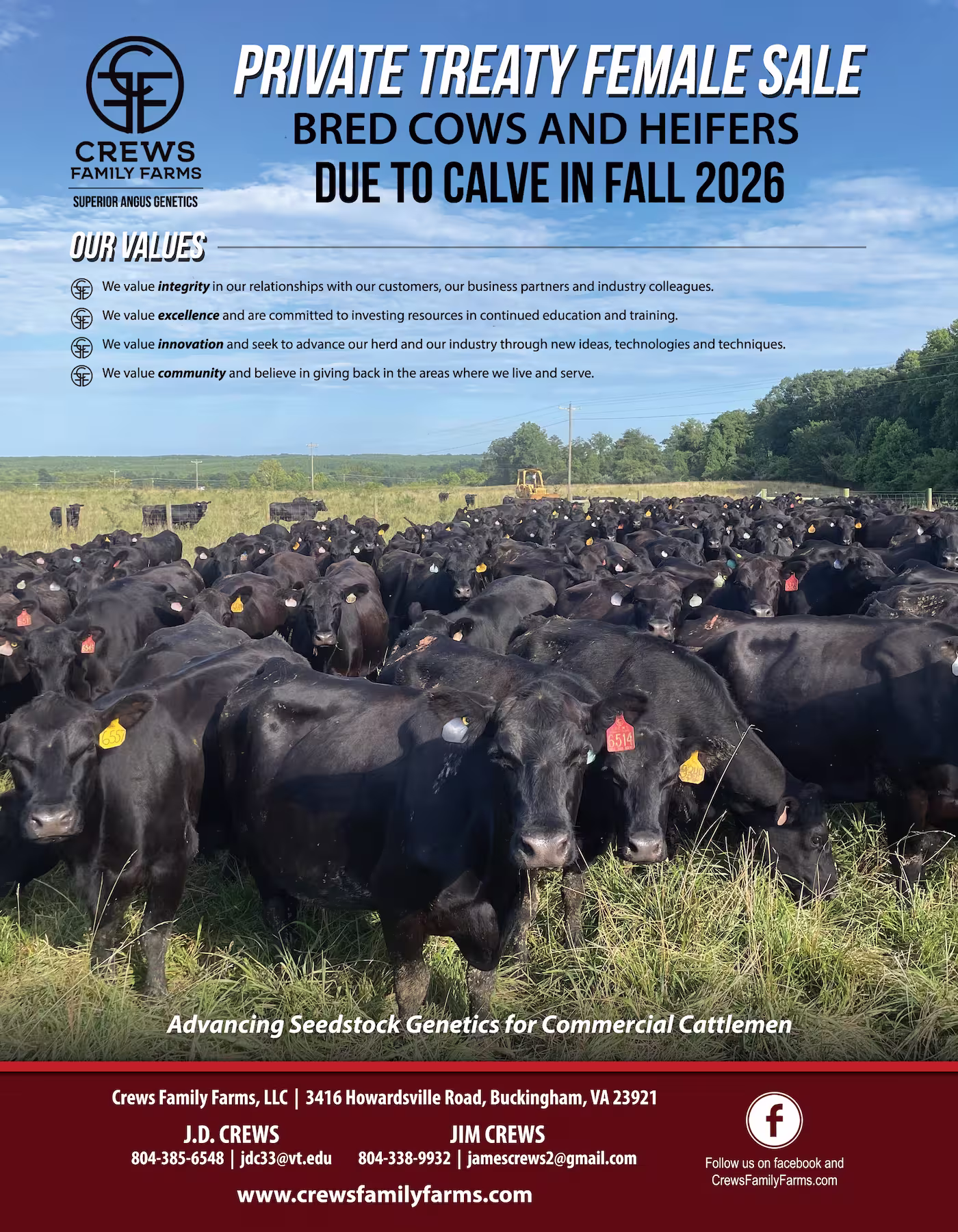 Private Treaty Female Sale - Bred Cows and Heifers due to calve in Fall 2026.
Contact Jim Crews at 804.338.9932